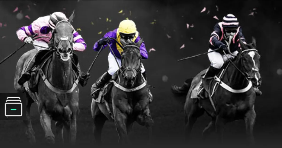 香港巅峰对,决半程速递,王楚钦冲击,MK体育官网玩家首选,MK体育官网H5,MK体育官网游戏平台