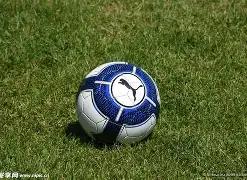 弗雷德破纪,荣登曼联队,史首位巴西,MK体育官网玩家首选,MK体育官网H5,MK体育官网游戏平台